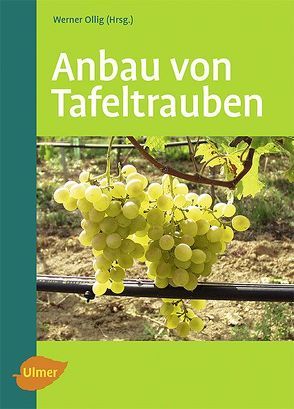 Anbau von Tafeltrauben von Ollig,  Werner