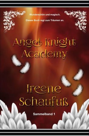 Angel Knight Academy 1 – (Magical Girl) von Schaufuß,  Ireene