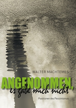 Angenommen, es gäbe mich nicht von Machtemes,  Walter