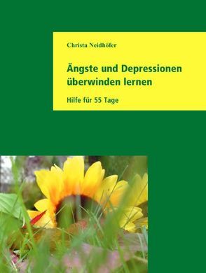 Ängste und Depressionen überwinden lernen von Neidhöfer,  Christa