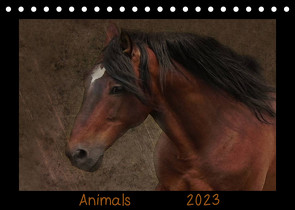 Animals (Tischkalender 2023 DIN A5 quer) von Möckel / Lucy L!u,  Claudia