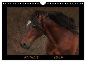 Animals (Wandkalender 2024 DIN A4 quer), CALVENDO Monatskalender von Möckel / Lucy L!u,  Claudia