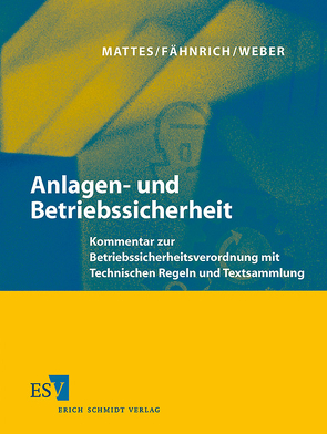 Anlagen- und Betriebssicherheit – Einzelbezug von Fähnrich,  Ralph