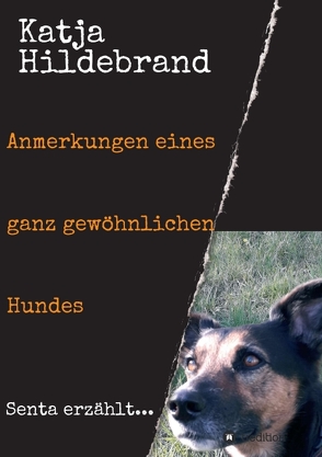 Anmerkungen eines ganz gewöhnlichen Hundes von Hildebrand,  Katja