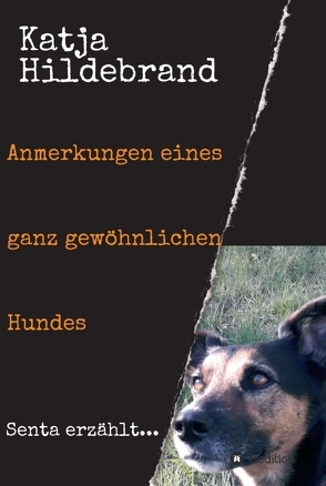 Anmerkungen eines ganz gewöhnlichen Hundes von Hildebrand,  Katja