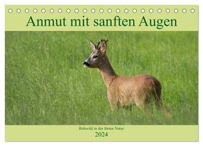 Anmut mit sanften Augen – Rehwild in der freien Natur (Tischkalender 2024 DIN A5 quer), CALVENDO Monatskalender von Grahneis,  Sabine