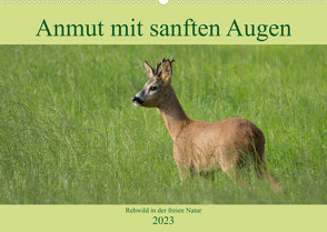 Anmut mit sanften Augen – Rehwild in der freien Natur (Wandkalender 2023 DIN A2 quer) von Grahneis,  Sabine