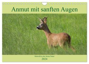 Anmut mit sanften Augen – Rehwild in der freien Natur (Wandkalender 2024 DIN A4 quer), CALVENDO Monatskalender von Grahneis,  Sabine