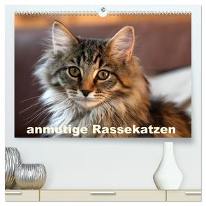 anmutige Rassekatzen (hochwertiger Premium Wandkalender 2024 DIN A2 quer), Kunstdruck in Hochglanz von Scholze,  Verena