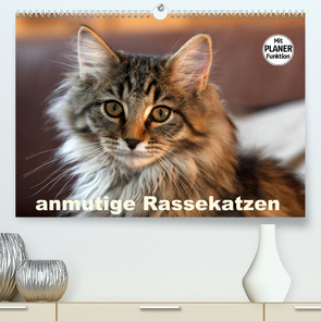 anmutige Rassekatzen (Premium, hochwertiger DIN A2 Wandkalender 2022, Kunstdruck in Hochglanz) von Scholze,  Verena