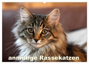 anmutige Rassekatzen (Wandkalender 2024 DIN A2 quer), CALVENDO Monatskalender von Scholze,  Verena