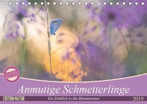 Anmutige Schmetterlinge (Tischkalender 2019 DIN A5 quer)