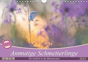 Anmutige Schmetterlinge (Wandkalender 2019 DIN A4 quer)