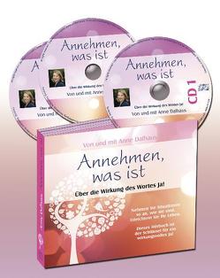 Annehmen, was ist von Dalhaus,  Anne, Dick,  Nicole