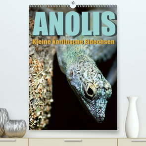 Anolis – Kleine karibische Eidechsen (Premium, hochwertiger DIN A2 Wandkalender 2020, Kunstdruck in Hochglanz) von Warschun,  Jürgen