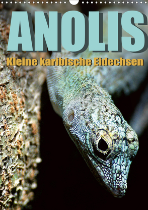 Anolis – Kleine karibische Eidechsen (Wandkalender 2020 DIN A3 hoch) von Warschun,  Jürgen