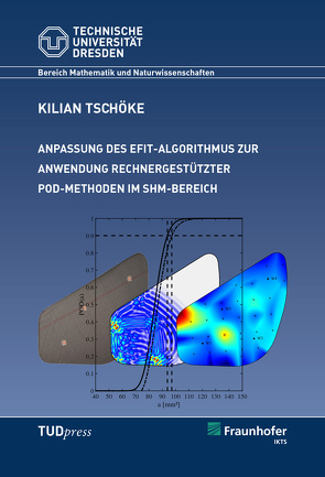 Anpassung des EFIT-Algorithmus zur Anwendung rechnergestützer POD-Methoden im SHM-Bereich von Tschöke,  Kilian