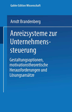 Anreizsysteme zur Unternehmenssteuerung von Brandenberg,  Arndt