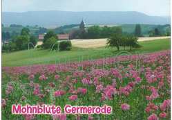 Ansichtskarte Meißner-Germerode, „Mohnblüte Germerode“ von Lenarduzzi,  Marco