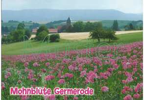 Ansichtskarte Meißner-Germerode, „Mohnblüte Germerode“ von Lenarduzzi,  Marco