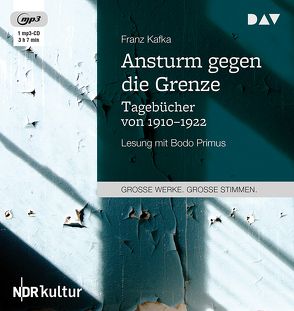 Ansturm gegen die Grenze. Tagebücher von 1910–1922 von Kafka,  Franz, Primus,  Bodo