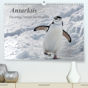 Antarktis, die eisige Heimat der Pinguine (Premium, hochwertiger DIN A2 Wandkalender 2022, Kunstdruck in Hochglanz) von Junio,  Michele