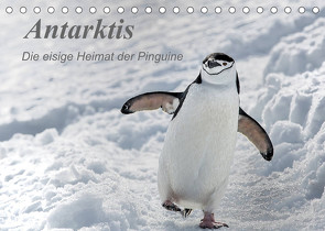 Antarktis, die eisige Heimat der Pinguine (Tischkalender 2022 DIN A5 quer) von Junio,  Michele