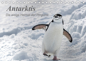 Antarktis, die eisige Heimat der Pinguine (Tischkalender 2023 DIN A5 quer) von Junio,  Michele