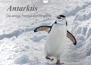 Antarktis, die eisige Heimat der Pinguine (Wandkalender 2022 DIN A4 quer) von Junio,  Michele