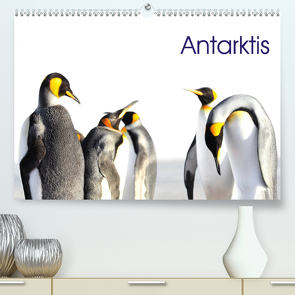 Antarktis – viaje.ch (Premium, hochwertiger DIN A2 Wandkalender 2021, Kunstdruck in Hochglanz) von viaje.ch,  ©