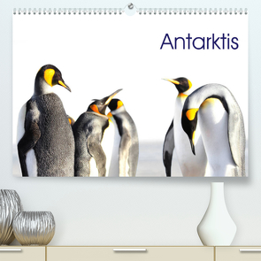 Antarktis – viaje.ch (Premium, hochwertiger DIN A2 Wandkalender 2023, Kunstdruck in Hochglanz) von viaje.ch,  ©