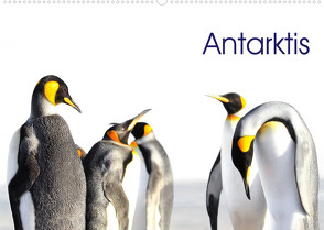 Antarktis – viaje.ch (Wandkalender 2023 DIN A2 quer) von viaje.ch,  ©