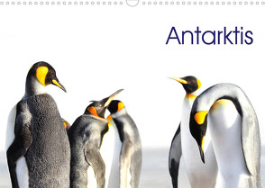 Antarktis – viaje.ch (Wandkalender 2023 DIN A3 quer) von viaje.ch,  ©