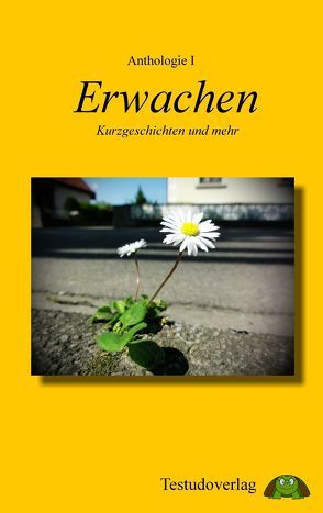 Anthologie I – Erwachen von Eder,  Eva-Maria, Freund,  Isabel, Jahn,  Adrianne, Kiraly,  Bettina, Kloska,  Barbara, Rauschmeier,  Jan C., Thomas,  Salina Petra