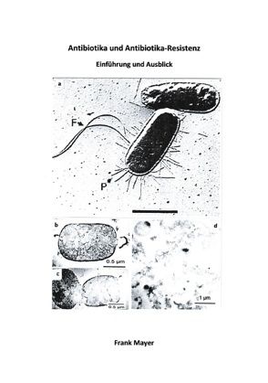 Antibiotika und Antibiotika-Resistenz von Mayer,  Frank