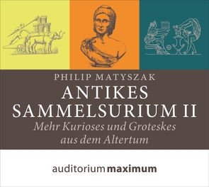 Antikes Sammelsurium II von Matyszak,  Philip