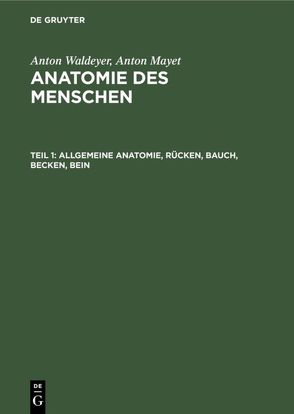 Anton Waldeyer; Anton Mayet: Anatomie des Menschen / Allgemeine Anatomie, Rücken, Bauch, Becken, Bein von Mayet,  Anton, Waldeyer,  Anton