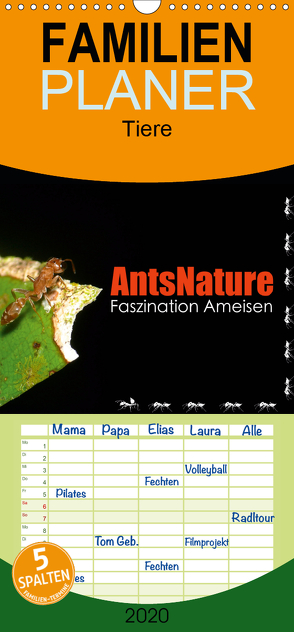 AntsNature – Faszination Ameisen – Familienplaner hoch (Wandkalender 2020 , 21 cm x 45 cm, hoch) von Drenske,  Bianca