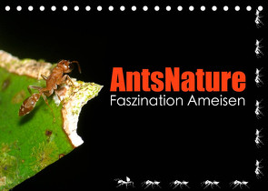 AntsNature – Faszination Ameisen (Tischkalender 2022 DIN A5 quer) von Drenske,  Bianca