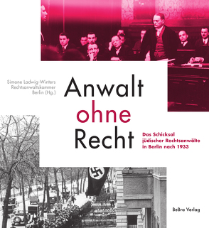 Anwalt ohne Recht von Ladwig-Winters,  Simone