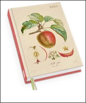 Apfel von Poiteau – Taschenkalender 2020 – Terminplaner mit Wochenkalendarium – Format 11,3 x 16,3 cm von DUMONT Kalenderverlag, Poiteau,  Pierre Antoine