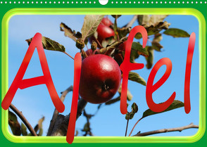 Apfel (Wandkalender 2023 DIN A3 quer) von tinadefortunata