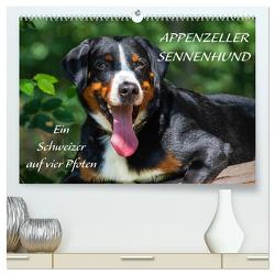 Appenzeller Sennenhund – Ein Schweizer auf 4 Pfoten (hochwertiger Premium Wandkalender 2024 DIN A2 quer), Kunstdruck in Hochglanz von Starick,  Sigrid