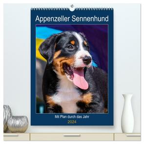 Appenzeller Sennenhund – Mit Plan durch das Jahr (hochwertiger Premium Wandkalender 2024 DIN A2 hoch), Kunstdruck in Hochglanz von Starick,  Sigrid