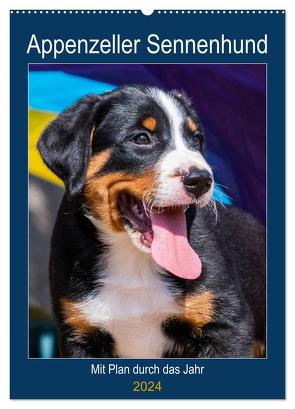 Appenzeller Sennenhund – Mit Plan durch das Jahr (Wandkalender 2024 DIN A2 hoch), CALVENDO Monatskalender von Starick,  Sigrid