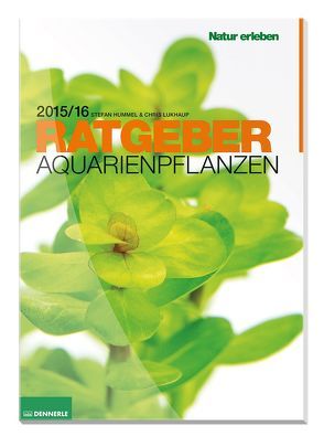 Aquarienpflanzen Ratgeber von Hummel,  Stefan