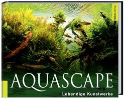 Aquascape von Bauer,  Ulrike