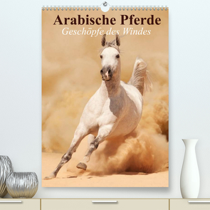 Arabische Pferde • Geschöpfe des Windes (Premium, hochwertiger DIN A2 Wandkalender 2022, Kunstdruck in Hochglanz) von Stanzer,  Elisabeth