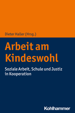 Arbeit am Kindeswohl von Haller,  Dieter, Jenzer,  Regina, Kalter,  Birgit, Läser,  Jodok, Schatzschneider,  Julia