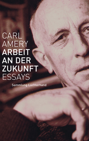 Arbeit an der Zukunft von Amery,  Carl